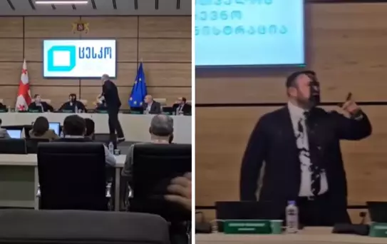 Gürcistan'da Seçim Komisyonu Başkanı'na boyalı saldırı