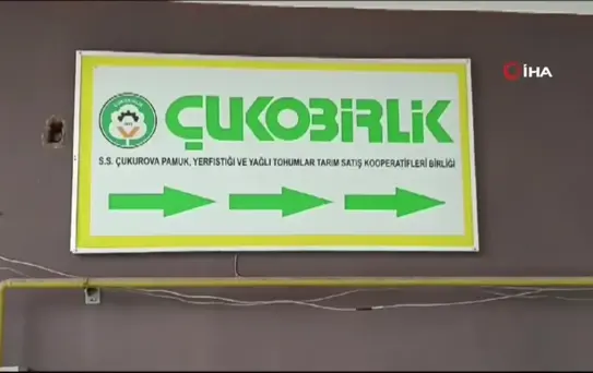 Beyaz Altın Pamuk Rekoltesi Yüzleri Güldürdü