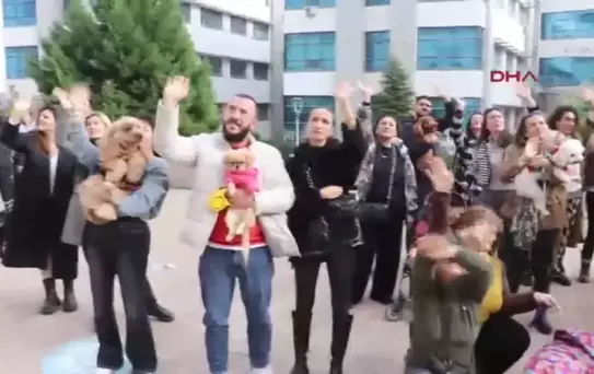 Kanserle Savaşan Genç Kızdan Sokak Hayvanlarına Destek