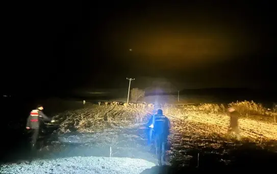 Yozgat'ta Kayıp Büyükbaş Hayvanlar Bulundu