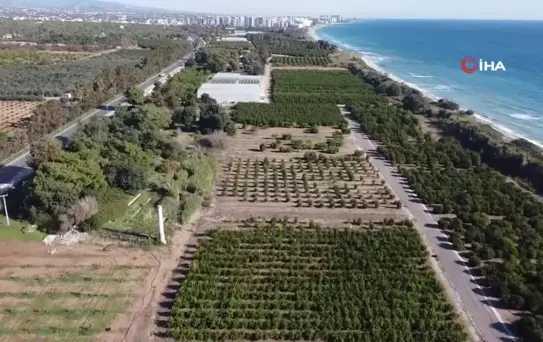 Yerli Yazılımla Tarımda Verim Artışı