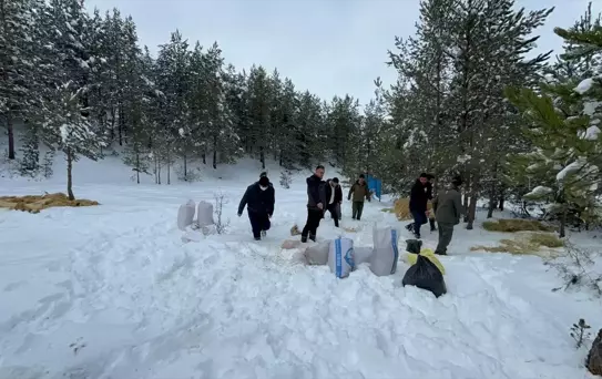 Çankırı'da Yabani Hayvanlara Yem Bırakıldı