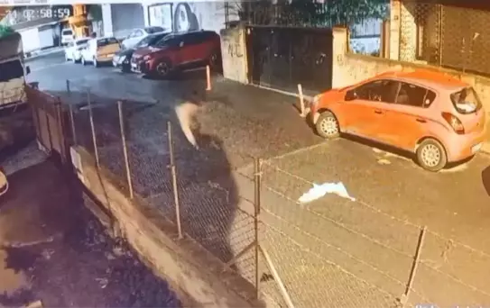 Gaziosmanpaşa'da Uyuşturucu Alacak Verecek Meselesi Cinayeti