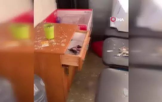 Taksiciden Cam Kıran Magandalara Tepki