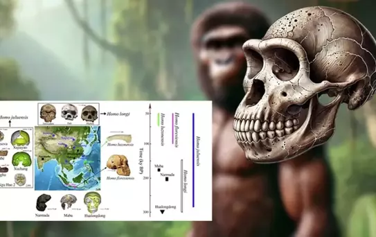 Çin'de Yeni İnsan Türü 'Homo Juluensi' Keşfedildi