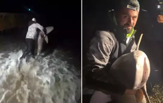 Köpek balığını hiç korkmadan kucağına aldı