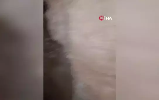 Hatay'da Kaya Mezarları Bulundu
