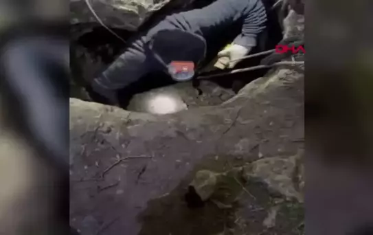 İznik'te Define Ararken Suçüstü Yakalandılar