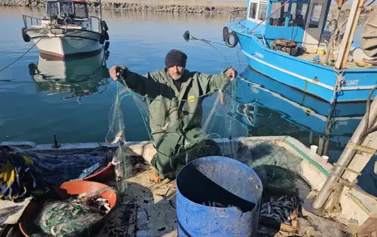 Zonguldak'ta Balık Sezonu Bolluk İçinde Geçiyor