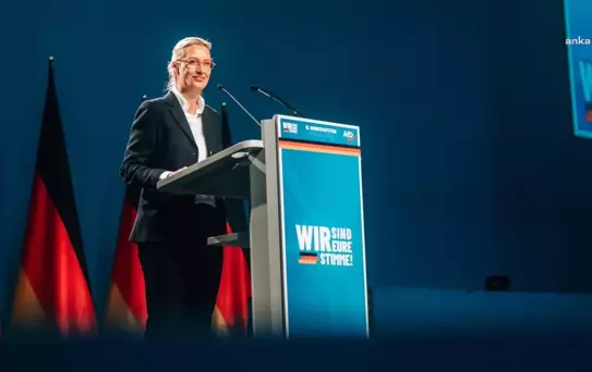 Almanya'da AfD'nin Seçim Kampanyası Büyük Tepki Topladı