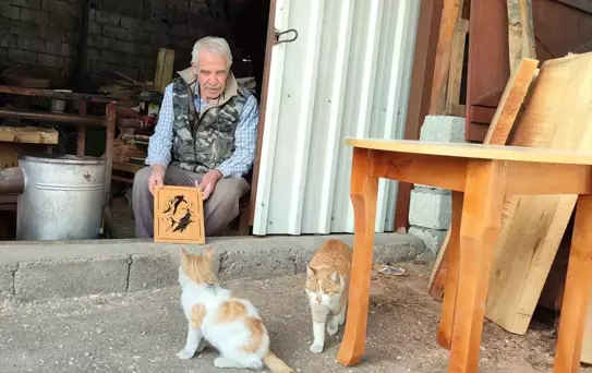 Kahramanmaraş'ta Kedilere Şefkat