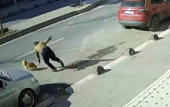 Köpeğini Kurtarmak İçin Caddeye Atlarken Yaralandı