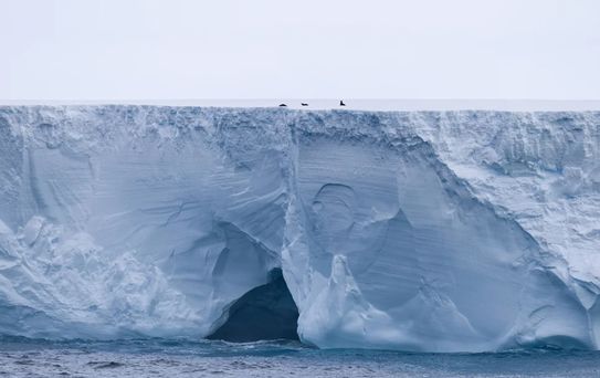 Dünyanın en büyük buzdağının Güney Atlantik'teki bir adaya çarpmasından endişe ediliyor