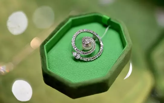 Yılbaşı İçin Yılan Temalı Tasarımlar