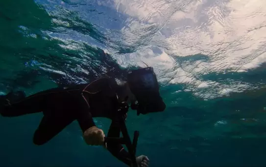 Samsung'dan Mercan Resiflerine Destek