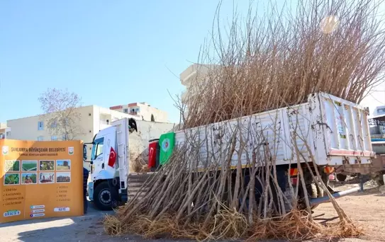 Şanlıurfa'da İpek Böceği Yetiştiricilerine Destek