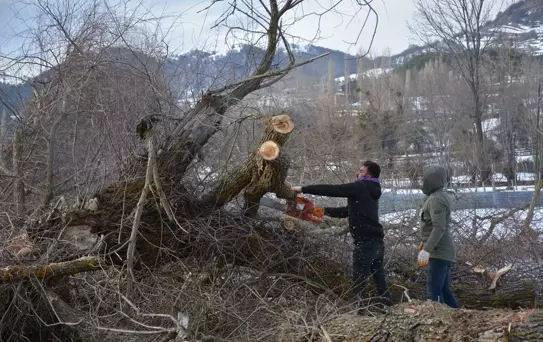 Tokat'tan kısa kısa