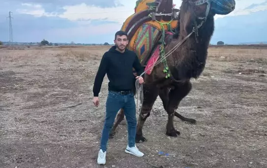 Çanakkale'de Deveci Cinayeti: Alacak Meselesi Kanlı Bitti