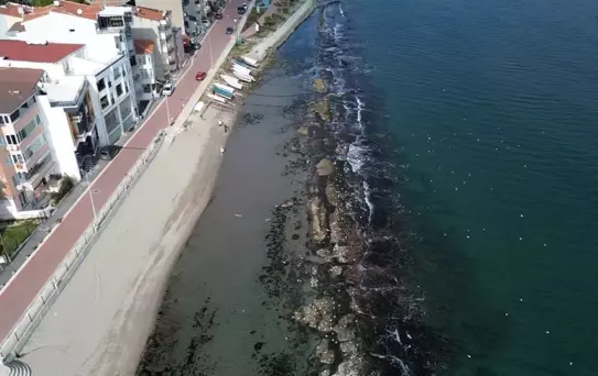 Deniz 10 metre çekildi, tarihi Kral Yolu yüzyıllar sonra ortaya çıktı