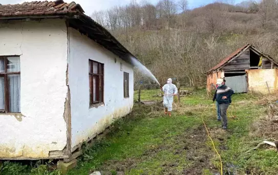 Düzce'de Kahverengi Kokarca İle Mücadele