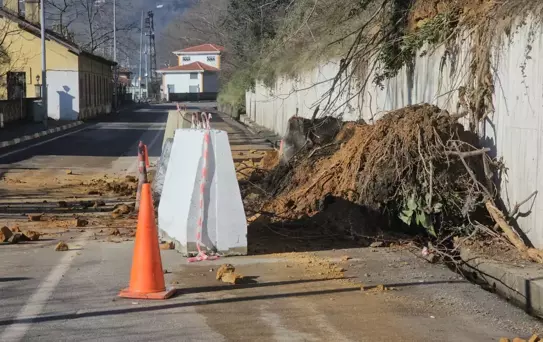 Zonguldak'ta Heyelan: 1 Ev Tahliye Edildi, Yol Trafiğe Kapandı