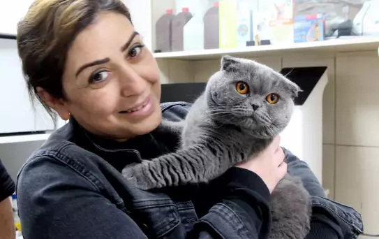 Adana'da, 6 milyonda 1 görülen çift cinsiyetli kedi ameliyat edildi