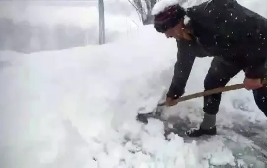 Arıkonak'ta Kar Temizliği Başladı