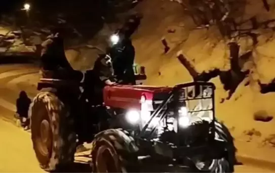 Sibirya Kurdu 'Çakır' Kızak Keyfi Yaşattı