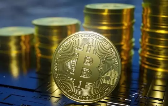 Bin TL'lik kripto para yatırımı bir yılda ne kadar kazandırabilirdi?