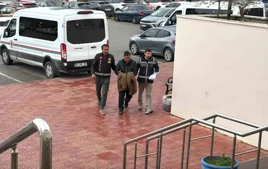Bodrum'da Ağaç Budarken Düşen Adam Hayatını Kaybetti