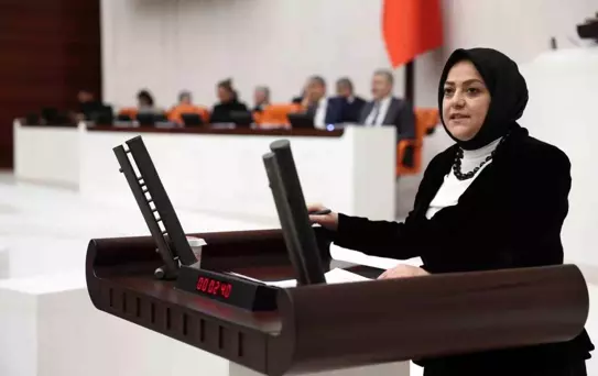 TÜBİTAK'ın Reddettiği Projeler Yurt Dışında Ödüllendiriliyor