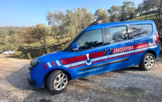 Aydın'da Traktör Uçuruma Yuvarlandı, 79 Yaşındaki Sürücü Hayatını Kaybetti