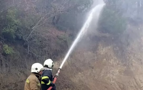Hatay'da Orman Yangını Kontrol Altına Alındı