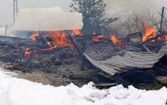 Ordu'da Yangın: Ahşap Ev Küle Döndü, Aile Son Anda Kurtuldu
