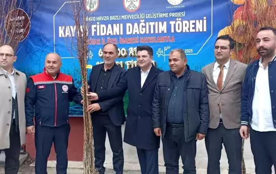 Sivas'ta 50 Bin Kayısı Fidanı Dağıtıldı