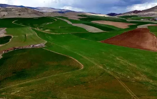 Kırıkkale Yağmuru Çiftçiyi Sevindirdi