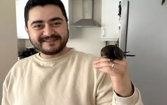 Ünye'de Nadir Kuş Ebabil Doğaya Uçtu