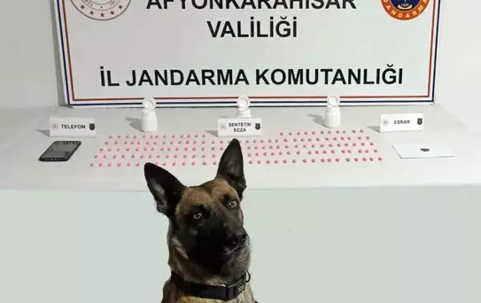 Afyonkarahisar'da Uyuşturucu Operasyonu