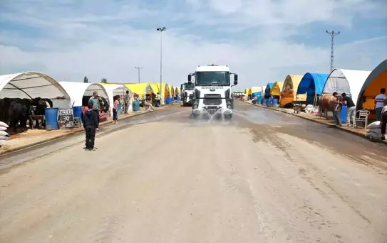 Keçiören'de Kurbanlık Satışı İçin Başvurular Başladı