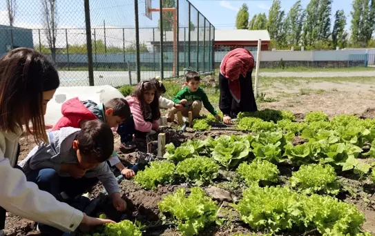 Öğrenciler Toprakla Buluşuyor