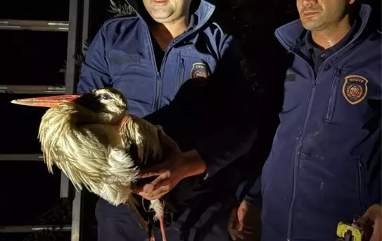 Leylek İtfaiye Ekiplerince Kurtarıldı