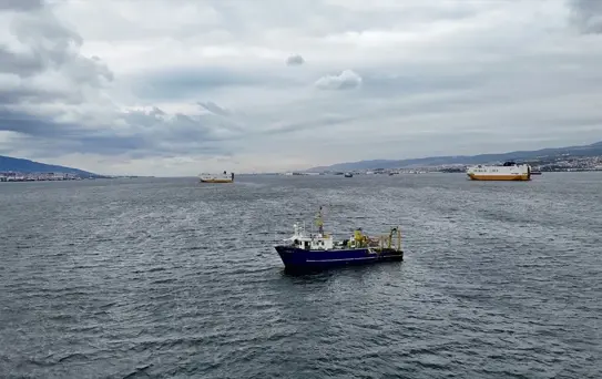 İzmit Körfezi'nde Su Kalitesinde İyileşme