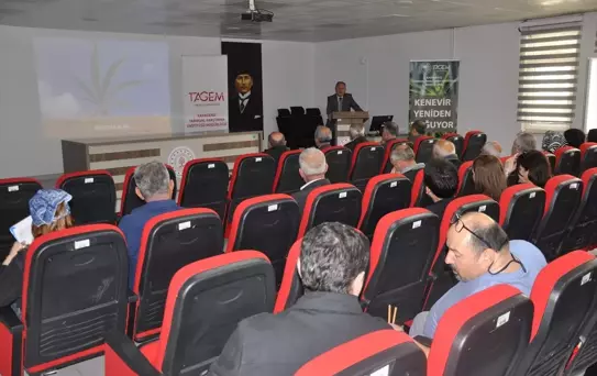 Kenevir Yeniden Doğuyor Projesi Tanıtıldı