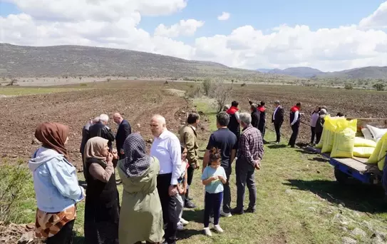 Kızılcahamam'da Karabuğday Desteği