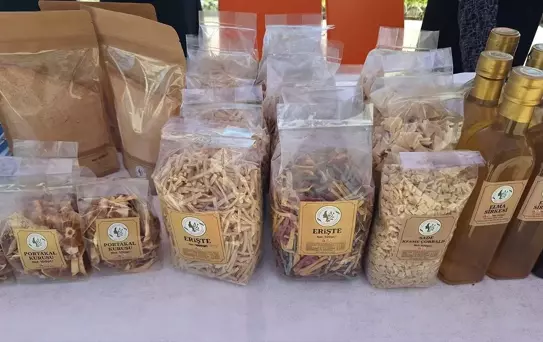 Kırsal Kalkınma ve Turizm Paneli