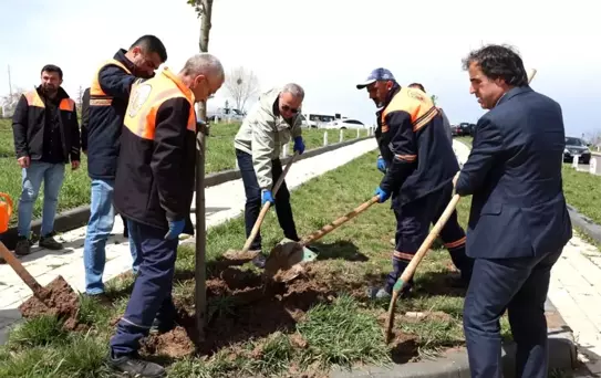 Sivas Belediyesi'nden Bebek Mezarlığına Anlamlı Düzenleme