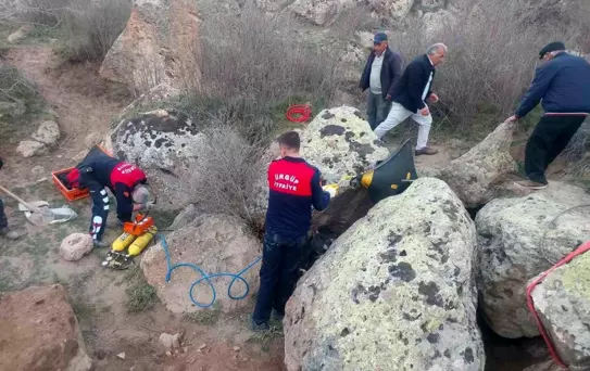 Nevşehir'de Kayalıklara Sıkışan Tosun Kurtarıldı