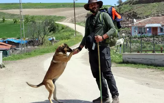 Köpeği 'Yoldaş' ile 3,5 yıldır şehir şehir gezerek fidan dikiyor