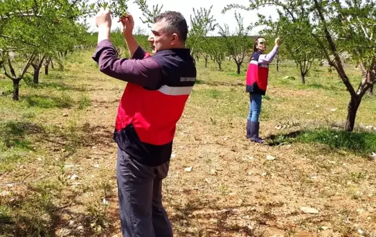 Kütahya'da Zirai Don Kontrolleri