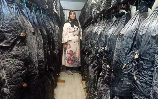 Malatya'da Kadın Girişimciler Mantar Üretiyor